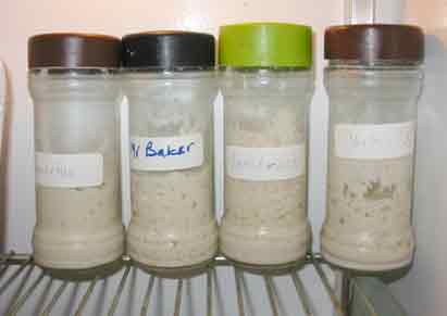 4starters.jpg, 21522 bytes